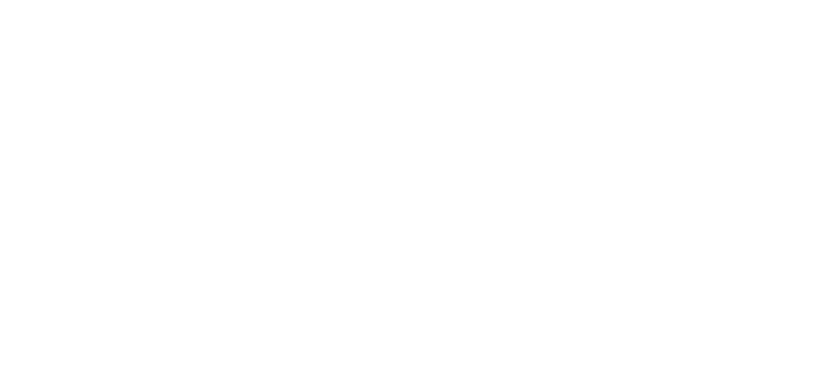 FNB Logo