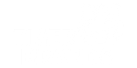 TIGER BRANDS LOGO